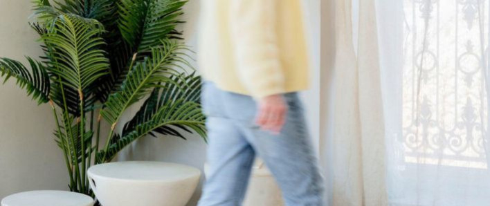 Les plantes vertes dans son salon, le grand retour des années 80